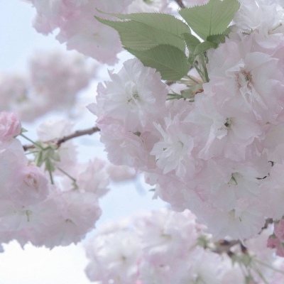 台江福瑞交流群